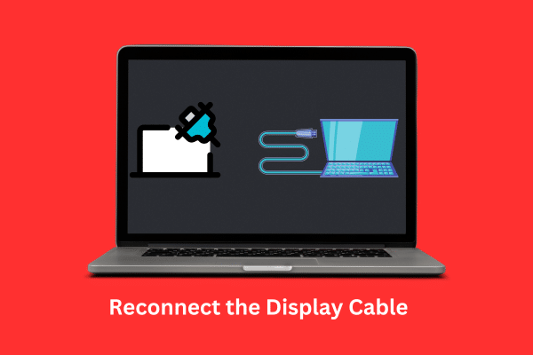 Reconnect the Display Cable
